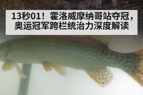 13秒01!霍洛威摩纳哥站夺冠,奥运冠军跨栏统治力深度解读